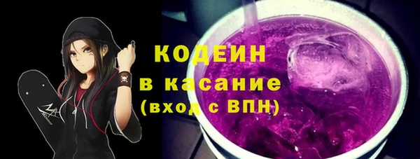 соль ск Кулебаки