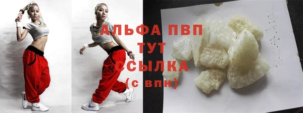 прущие грибы Кукмор