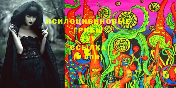 прущие грибы Кукмор