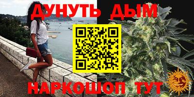 гидра Апрелевка