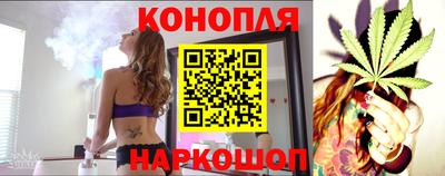 прущие грибы Апшеронск