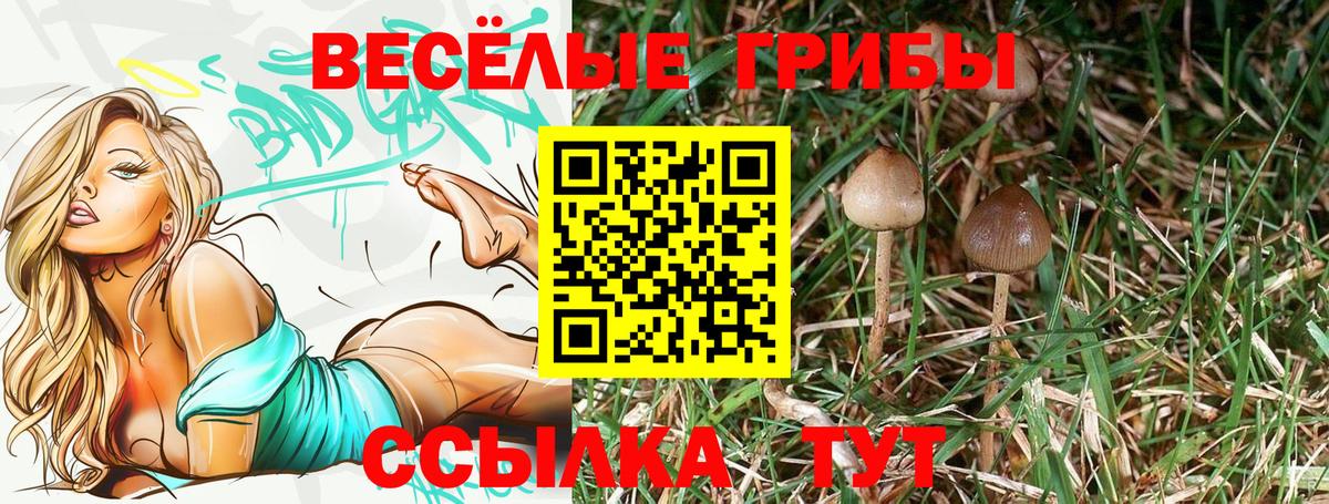 Галлюциногенные грибы Psilocybine cubensis  продажа наркотиков  Псилоцибиновые грибы Psilocybe  Мелеуз 