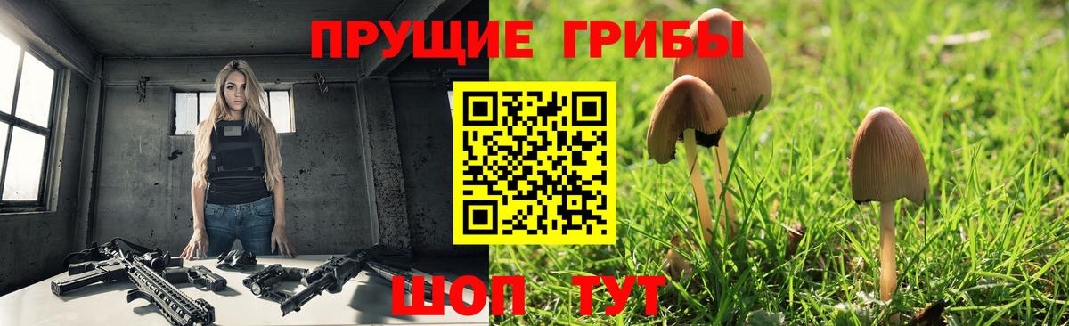 Псилоцибиновые грибы Psilocybe Мелеуз