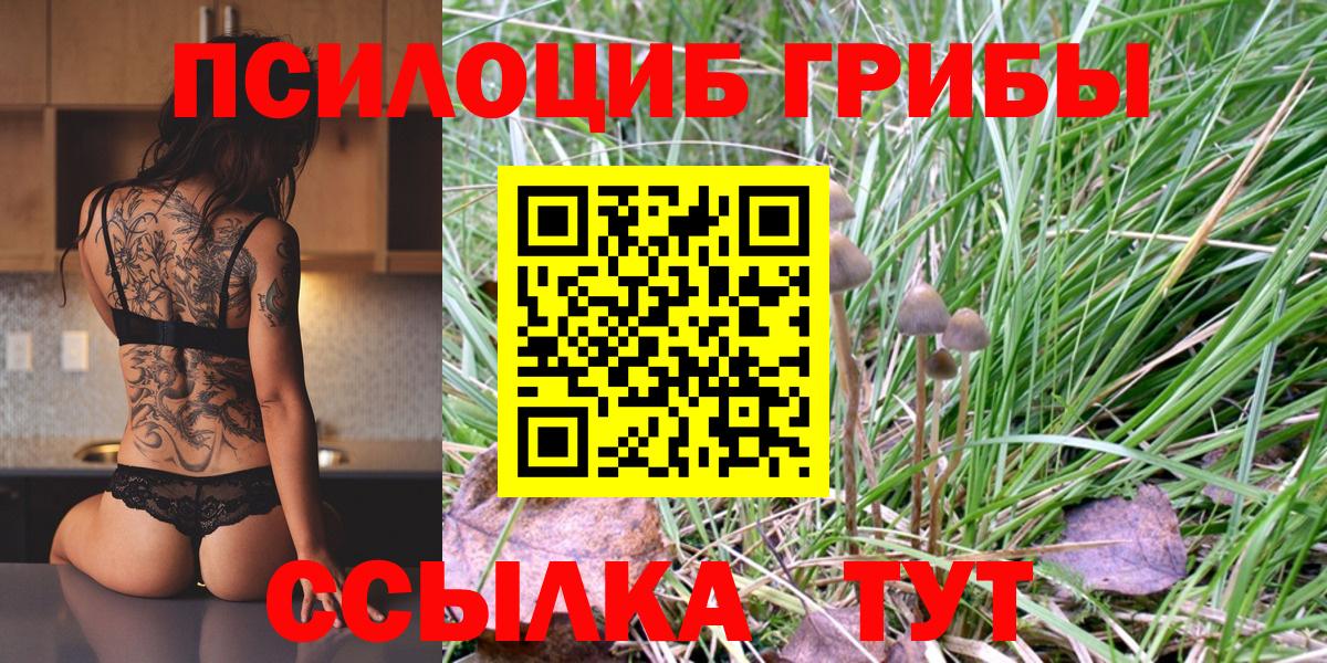 Псилоцибиновые грибы Psilocybe Мелеуз