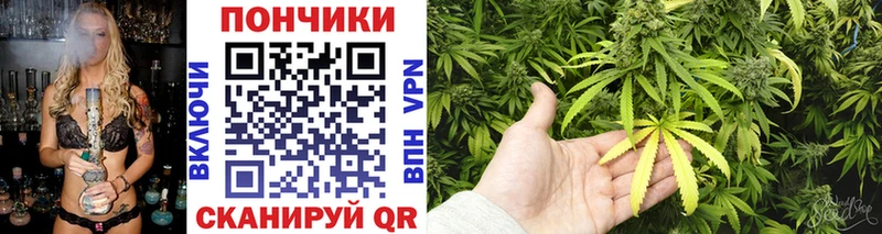 Шишки марихуана семена  нарко площадка наркотические препараты  Мелеуз 